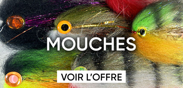 mouche